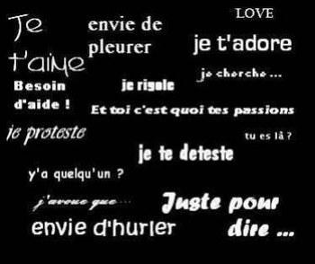 kelke mots ki veullent tout dire