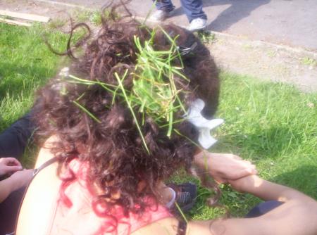 Des cheveux et de l'herbe