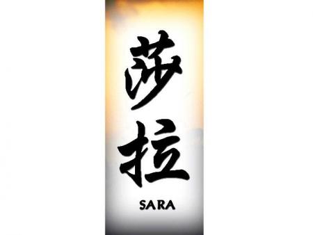 SARA en chinois